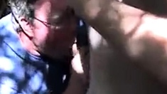 Gang bang in PM's back garden