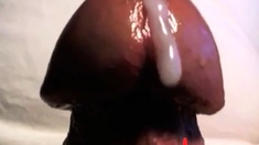 Sissy Slut Cum training