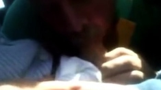 dad sucked by a stranger in his car