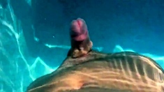 Hands free cumshot swimming pool