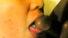 Eka Isap Pancut Dalam Mulut