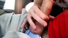 young twink sucks dick in car and swallows
