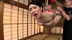 Asian Japanese BustyGirl BDSM