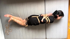 Hogtied Training