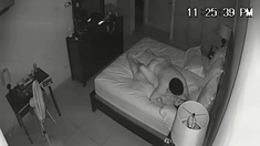 Amateur couple hidden cam