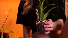 CLOSE UP OF TEENS PARADISE