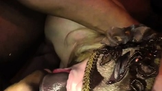 Milf Pov Big Cock Blowjob