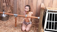 HuCows Rey Sanson New Hucow FETiSH