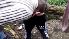 Cruising Woods