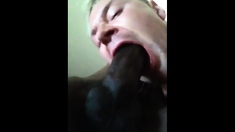 White Guy Sucking BBC