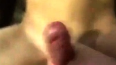 el Mexicano cogelon.. otra vez !! MEXICAN FUCK TIME