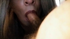 Cute Colombian Cd Sucking Cock And Gets Nice Facial